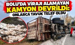 Bolu'da virajı alamayan kamyon devrildi: Onlarca tavuk telef oldu