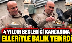 4 yıldır beslediği kargasına elleriyle balık yedirdi