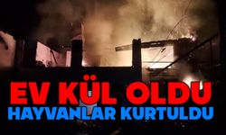Ev alevlere teslim oldu, hayvanlar son anda kurtarıldı