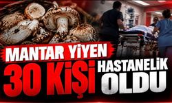Mantar yiyen 30 kişi hastanelik oldu