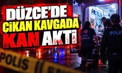 Düzce’de çıkan kavgada 1 yaralı
