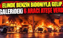 Elinde benzin bidonuyla gelip galerideki 6 aracı ateşe verdi