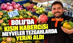 Bolu’da kışın habercisi meyveler tezgahlarda yerini aldı