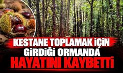 Kestane toplamak için girdiği ormanda hayatını kaybetti