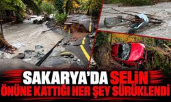 Sakarya'da selin önüne kattığı her şey sürüklendi