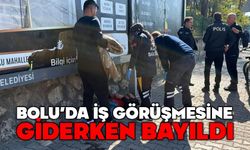 Bolu'da iş görüşmesine giderken bayılarak yaralandı