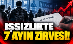 İşsizlikte 7 Ayın Zirvesi! İş Arayanları İlgilendiren Veriler Açıklandı