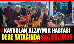 Kaybolan alzaymır hastası, dere yatağında sağ bulundu