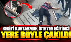 Kediyi kurtarmak isteyen eğitimci yere böyle çakıldı