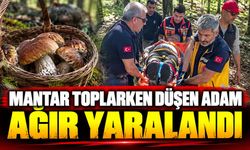 Mantar toplarken düşen adam ağır yaralandı