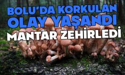 Bolu’da, korkulan oldu mantardan zehirlendi