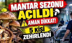 Mantar sezonu açıldı, 5 kişi zehirlendi