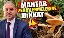 Mantar zehirlenmelerine dikkat