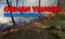 Orman yangını büyümeden söndürüldü