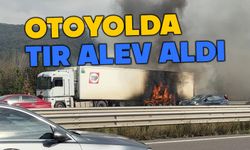 Otoyolda tır alev alev yandı