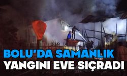Bolu'da samanlık yangını eve sıçradı