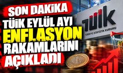 SON DAKİKA: Enflasyonda kritik eşik aşıldı! Rakamlar belli oldu