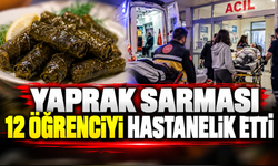 Yaprak sarması 12 öğrenciyi hastanelik etti