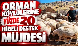 Bolu’da orman köylülerine yüzde 20 hibeli destek müjdesi