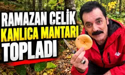 Ünlü sanatçı Ramazan Çelik, Bolu ormanlarında kanlıca mantarı topladı
