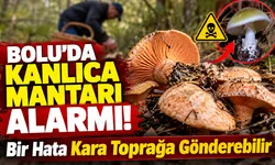 İlk Vaka Görüldü! Bolu’da Kanlıca Mantarı Alarmı: Bir Hata Kara Toprağa Gönderebilir