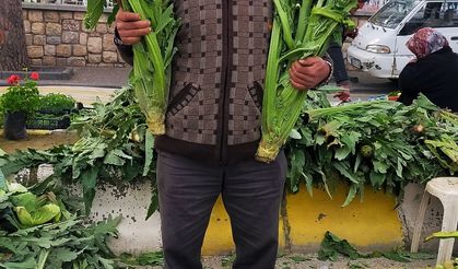 Aydın’da enginar sezonu açıldı, tezgahlar yeşile büründü