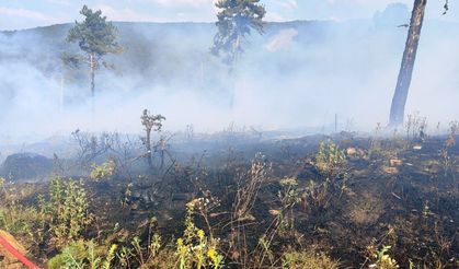 BASKİ personeli resmi araçla alkollü yakalandı