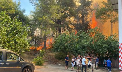 Antalya'da ormanlık alanda yangın paniği