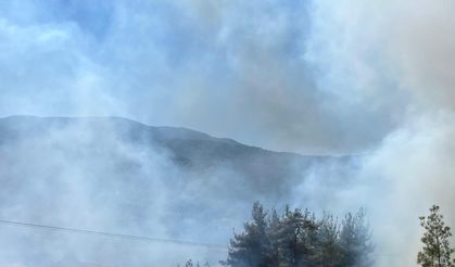 Sındırgı'da orman yangını