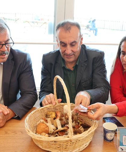 Mantarların gizemli dünyası anlatıldı