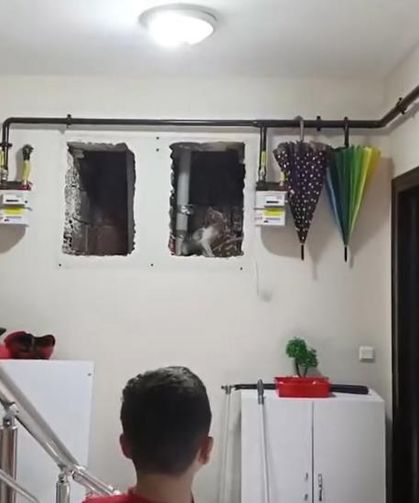 Küçük Yaser Kaan’ın dikkati kediyi kurtardı