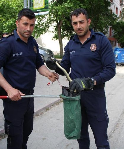 Otomobilin içine giren 1,5 metrelik yılanı itfaiye erleri yakaladı