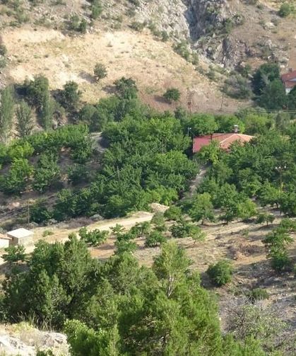 Cinayete kurban giden Aysel Yıldırım için 1600 rakımlı dağlık alanda arama