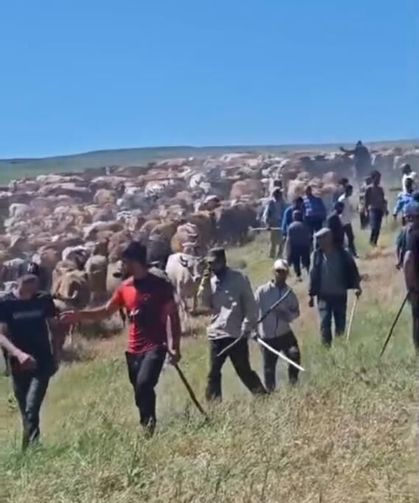 Muş’ta iki köy arasında 'arazi' kavgası: 2 yaralı