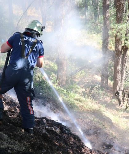 Sakarya'da ağaçlık alanda korkutan yangın