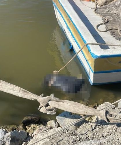 Asi Nehri'nde erkek cesedi bulundu