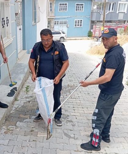 Eve giren yılan paniğe neden oldu