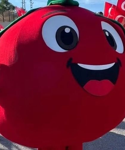 Ayaş Domates Festivali, renkli görüntülerle başladı