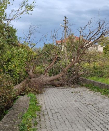 Kastamonu'nun sahil ilçelerinde fırtına hayatı olumsuz etkiledi