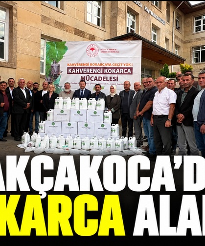 Akçakoca'da kokarca alarmı