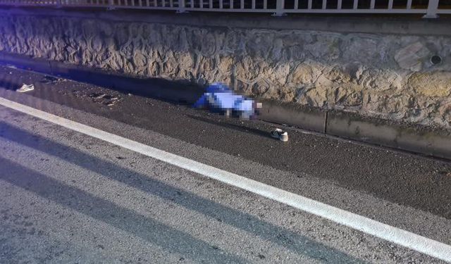 Alkol yine can aldı