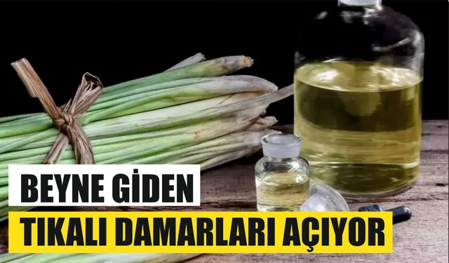 Türkiye'den tüm dünyaya yayıldı: İbn-i Sina yüzyıllar önce onu önerdi!