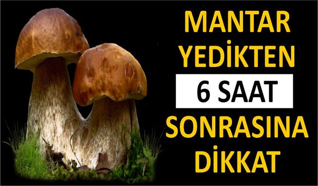 MANTAR YEDİKTEN 6 SAAT SONRASINA DİKKAT
