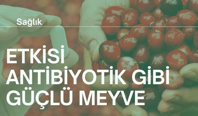 Etkisi antibiyotik gibi güçlü mucize meyve!