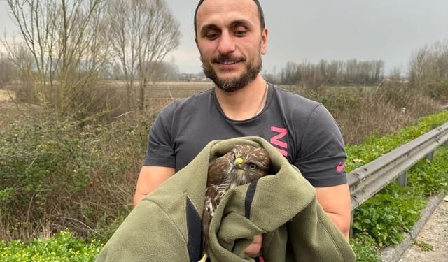 Otoyolda şahin için seferber oldular