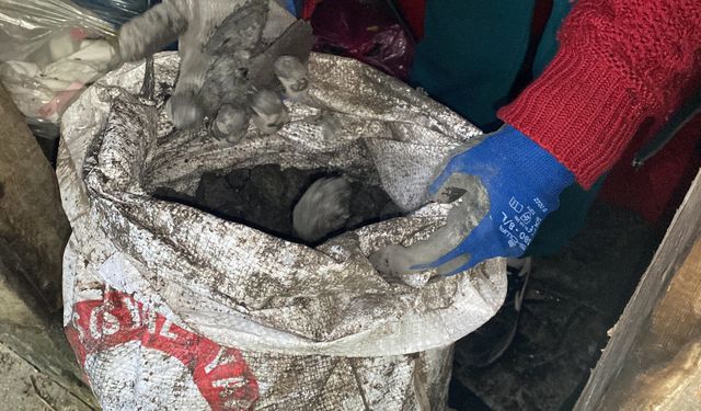 Yardım kömüründen taş çıktığı iddiaları üzerine ilave kömür desteği