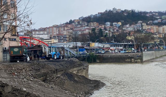 Fevkani Köprüsü'nün 106 günde yıkımı tamamlandı
