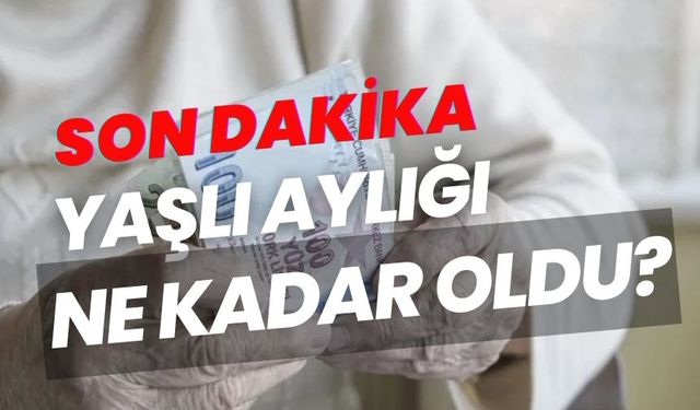2024 65 yaş aylığı kaç TL oldu, yüzde kaç zam geldi? Yeni yaşlılık maaşı belli oldu!
