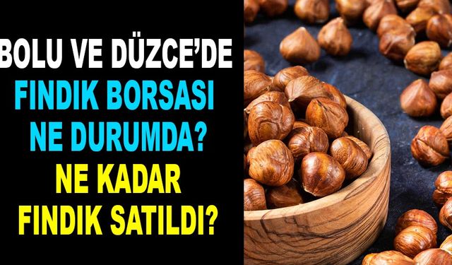 Bolu ve Düzce’de fındık borsası ne durumda? Ne Kadar Fındık Satıldı? 