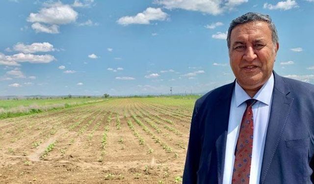 Yabancılara Satılan Tarım Arazisi Miktarı Açıklandı